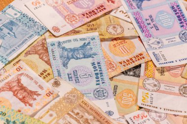 Moldova zambağı. Mdl banknotları