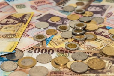 Macar forinti. Banknotlar ve madeni paralar