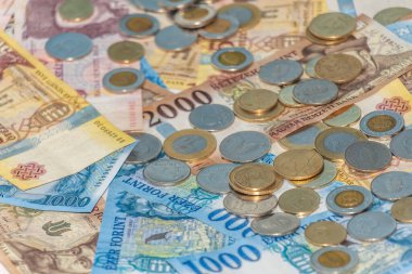 Macar forinti. Banknotlar ve madeni paralar