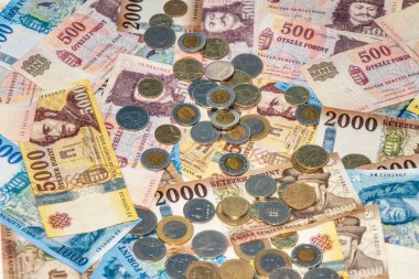 Macar forinti. Banknotlar ve madeni paralar