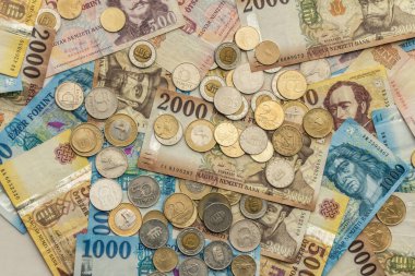Macar forinti. Banknotlar ve madeni paralar