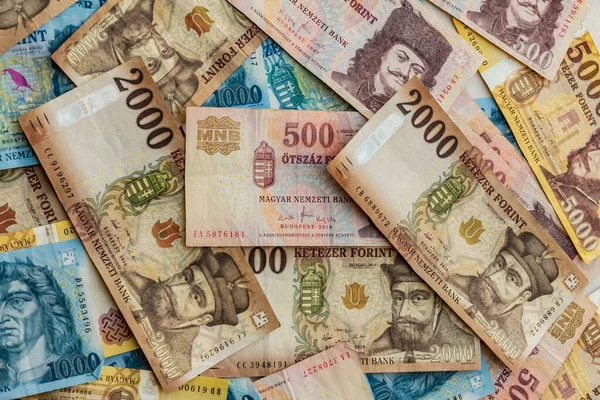 Hongaarse forint. Huf-bankbiljetten — Stockfoto