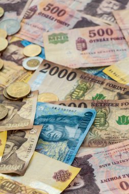 Macar forinti. Banknotlar ve madeni paralar