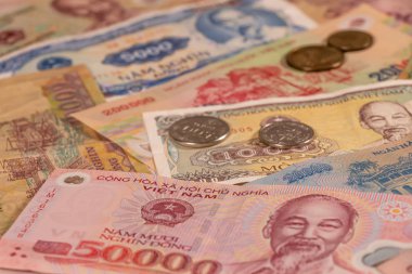 Vietnamlı dong Veri banknotları ve bozuk paraların bir bileşimi