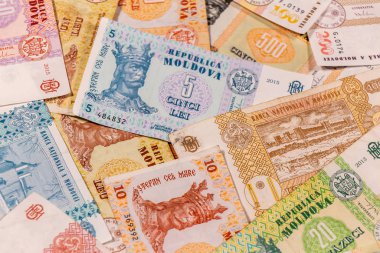 Moldova zambağı. Mdl banknotları