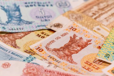 Moldova zambağı. Mdl banknotları