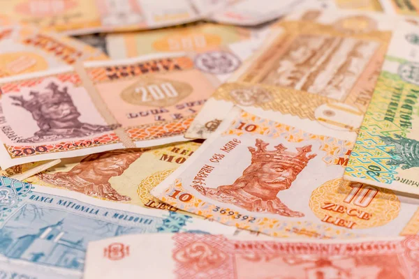Moldova zambağı. Mdl banknotları — Stok fotoğraf