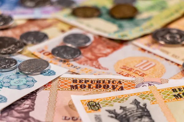 Moldova zambağı. Banknotlar ve madeni paralar