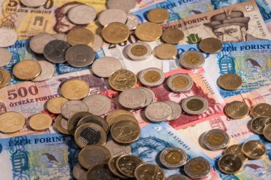 Macar forinti. Banknotlar ve madeni paralar