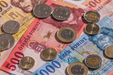 Macar forinti. Banknotlar ve madeni paralar