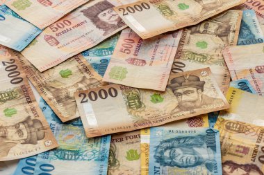 Macar forinti. Huf banknotları
