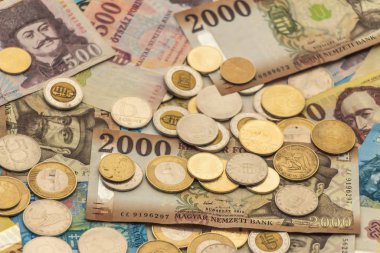 Macar forinti. Banknotlar ve madeni paralar