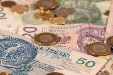 Polonya Zloti 'si. Banknotlar ve madeni paralar. Polonya, PI