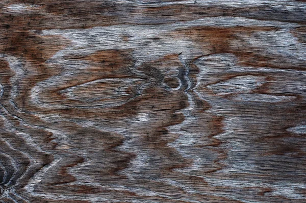 Textura de madera fondo — Foto de Stock