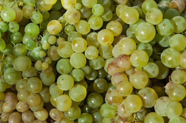 stock image Green grape. Green grapes background.Healthy fruits. Wine grapes.