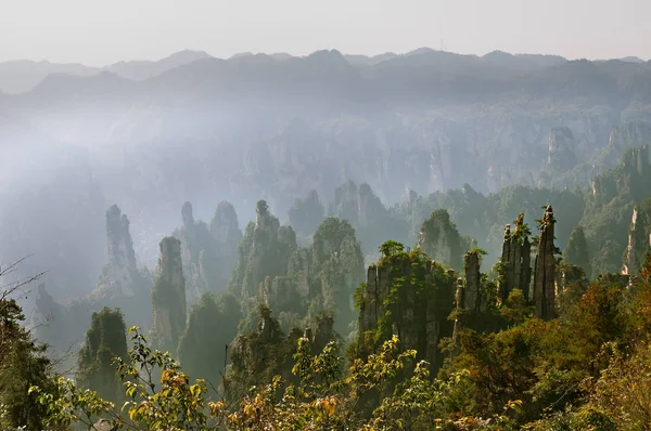 Zhangjiajie Forest Park. Montagne gigantesche che sorgono dal canyon. Imperatori Imperiali Scrivere Brush Peak, Tianzi Mountain Nature Reserve. Provincia di Hunan, Cina — Foto Stock