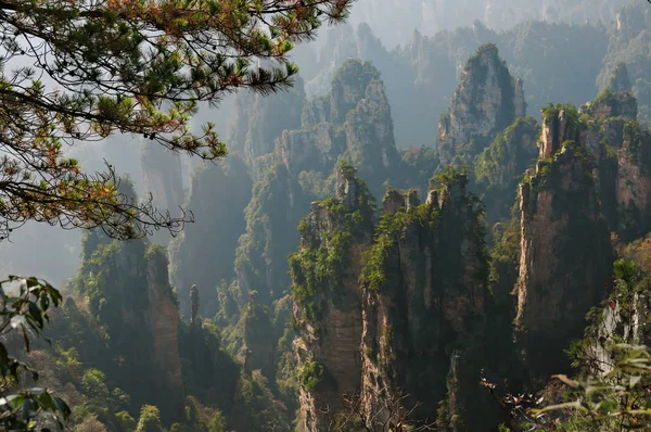 장가계 삼림 공원입니다. 거 대 한 기둥 산 협곡에서 상승입니다. Tianzi 마운틴입니다. 후난성, 중국 — 스톡 사진