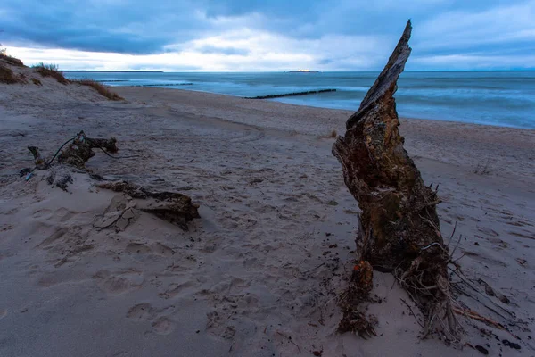 Szeroka Piaszczysta Plaża Kawałkiem Drewna Nad Zimnym Morzem Podczas Błękitnego — Zdjęcie stockowe