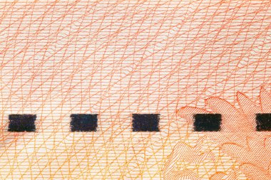 Koruyucu unsur, makro, arkaplan içeren pasaport sayfası