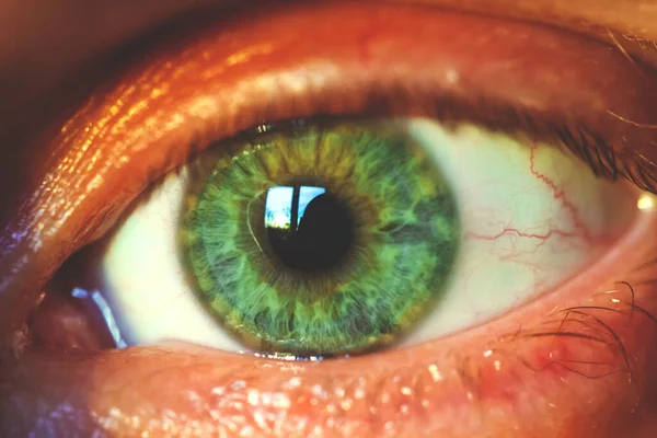 Olho Masculino Com Íris Verde Macro Retro Tonificado — Fotografia de Stock