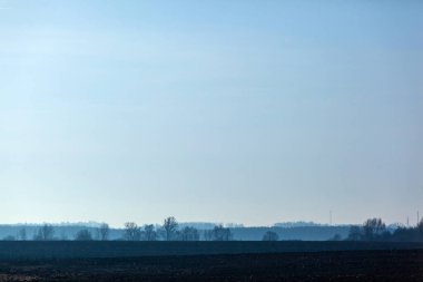 Mavili bir tarlanın mistik gizemli manzarası ve sisli bir ormanın silueti.