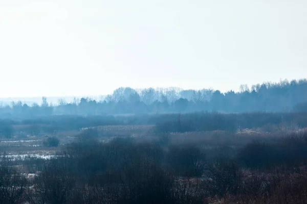 Живописный Загадочный Пейзаж Голубом Силуэтом Леса — стоковое фото