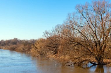Kahverengi ormanın arasında geniş bir nehir yatağının manzarası.