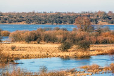 Nehirler arasında sarı otlarla kaplı bir adanın güzel manzarası