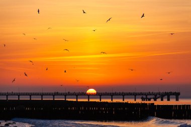 Gökyüzündeki kuşların siluetleri ve iskelede duran parlak turuncu günbatımını izleyen insanlar.