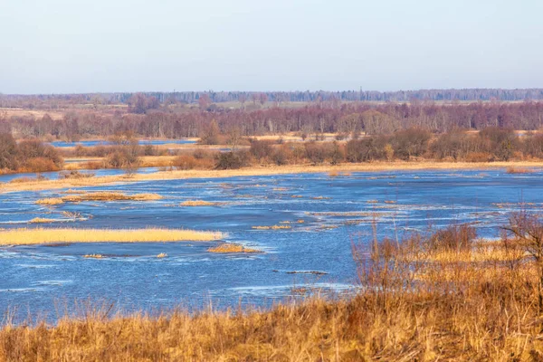 Pittoreska Landskapet Bred Flodbädd Bland Brun Skog — Stockfoto