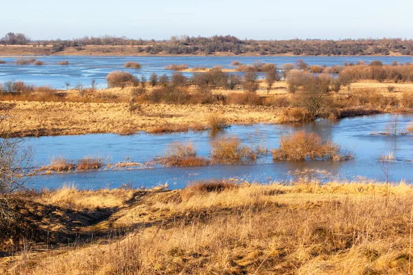 Pittoreska Landskapet Bred Flodbädd Bland Brun Skog — Stockfoto
