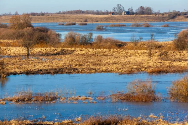 Мальовничий Краєвид Річкового Ліжка Серед Коричневого Лісу Невеликими Будинками Горизонті — стокове фото