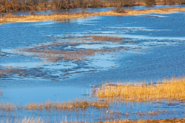 Loppet Bred Blå Flod — Stockfoto