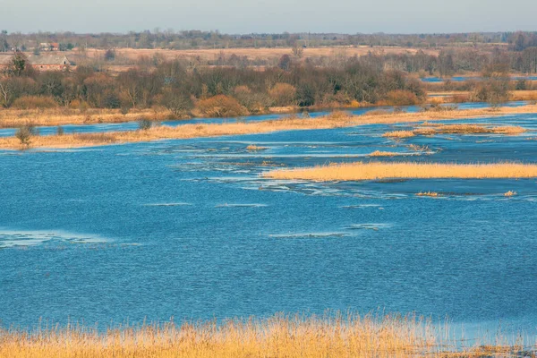 Bred Blå Flod Bakgrund Gula Fält Och Skogar — Stockfoto