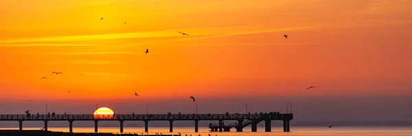 silhouettes of birds in the sky and people watching a bright orange sunset on the sea standing on the pier
