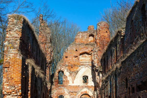 Ruinas Del Castillo Medieval Prusiano Balga Perteneciente Los Caballeros Orden — Foto de Stock