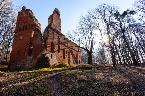 Ruinas Del Castillo Medieval Prusiano Balga Perteneciente Los Caballeros Orden — Foto de Stock