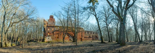 Ruinas Del Castillo Medieval Prusiano Balga Perteneciente Los Caballeros Orden — Foto de Stock