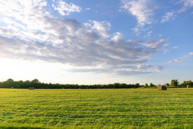 Gün batımında açık yeşil tarla
