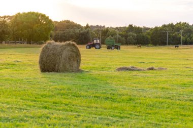 Tarlada atlar, saman yığını ve traktör.