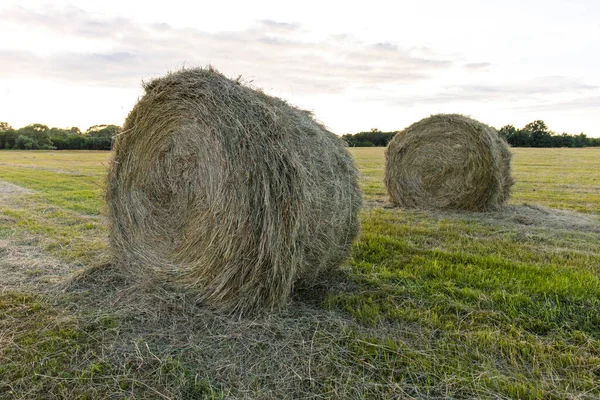 Rundhöstack Pressat Ett Grönt Fält — Stockfoto