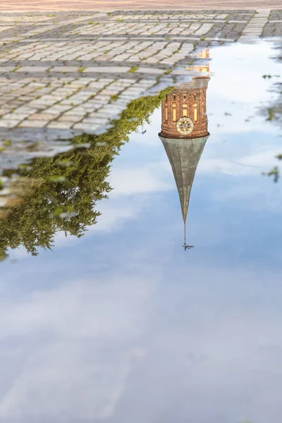 加里宁格勒柯尼斯堡大教堂人行道上的水坑中的倒影 — 图库照片