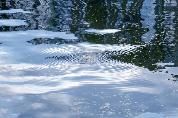 Cercles Sur Eau Une Goutte Tombée — Photo