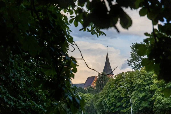 Tetto Attrezzato Stile Gotico Della Cattedrale Koenigsberg Kaliningrad Tra Rami — Foto Stock