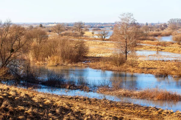 Pittoreska Landskapet Bred Flodbädd Bland Brun Skog Höstlandskap — Stockfoto