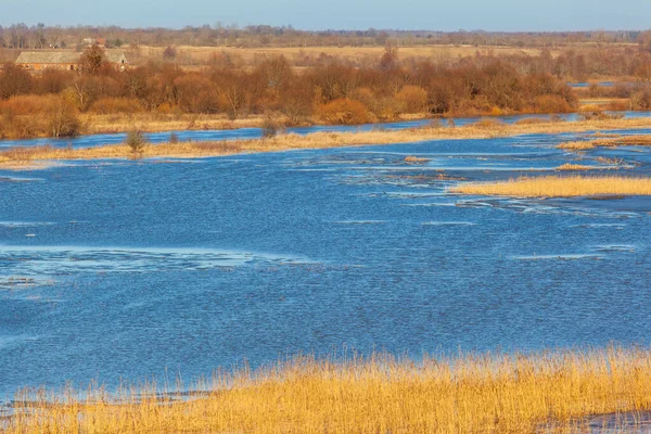 Naturskönt Landskap Med Gult Gräs Och Blå Flod Klar Solig — Stockfoto