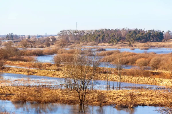 Naturskönt Landskap Med Gult Gräs Och Blå Flod Klar Solig — Stockfoto
