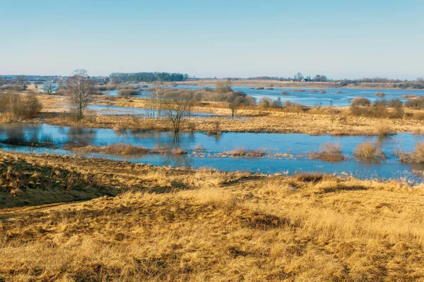 Naturskönt Landskap Med Kullar Täckta Med Gult Gräs Och Blå — Stockfoto
