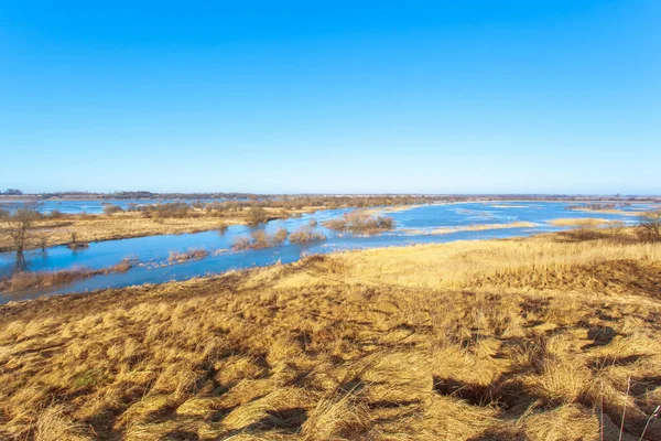 Naturskönt Landskap Med Kullar Täckta Med Gult Gräs Och Blå — Stockfoto