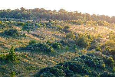 Yükselen güneşin turuncu ışınlarında ağaçların ve çalıların olduğu bir tepenin manzarası.